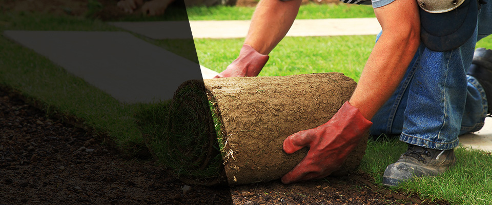 Solon Landscapers